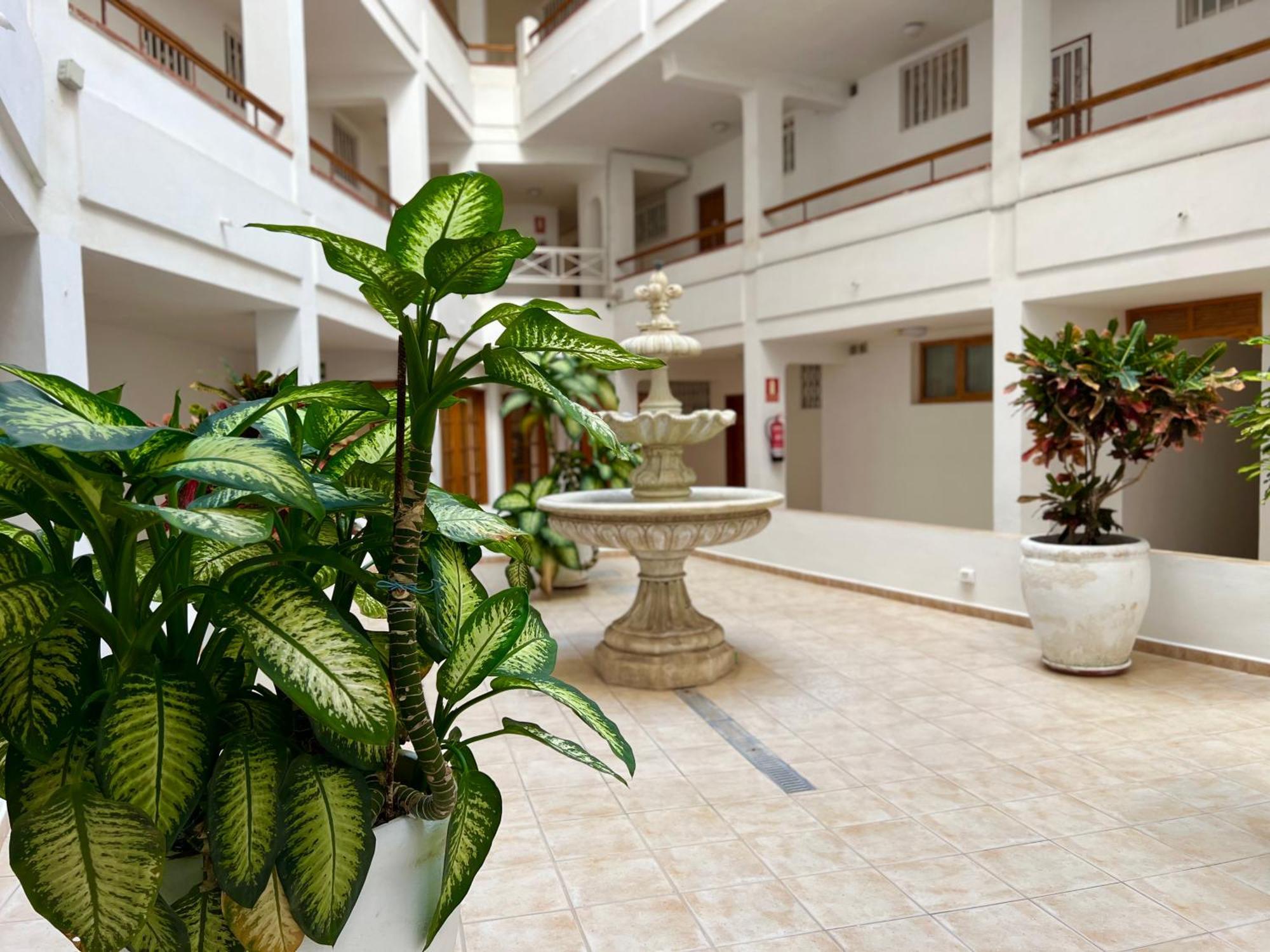Cristianos 1 Bed * Arona (Tenerife)